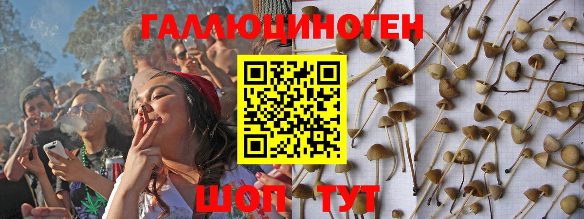 Тихорецк  Галлюциногенные грибы Psilocybe  Псилоцибиновые грибы Magic Shrooms  Вход с VPN 